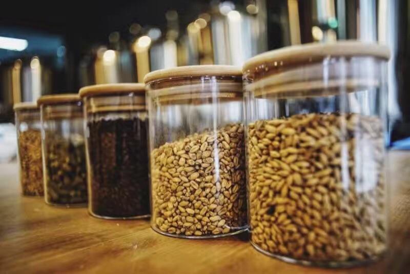 哪些種類的麥芽適合做精釀啤酒呢？