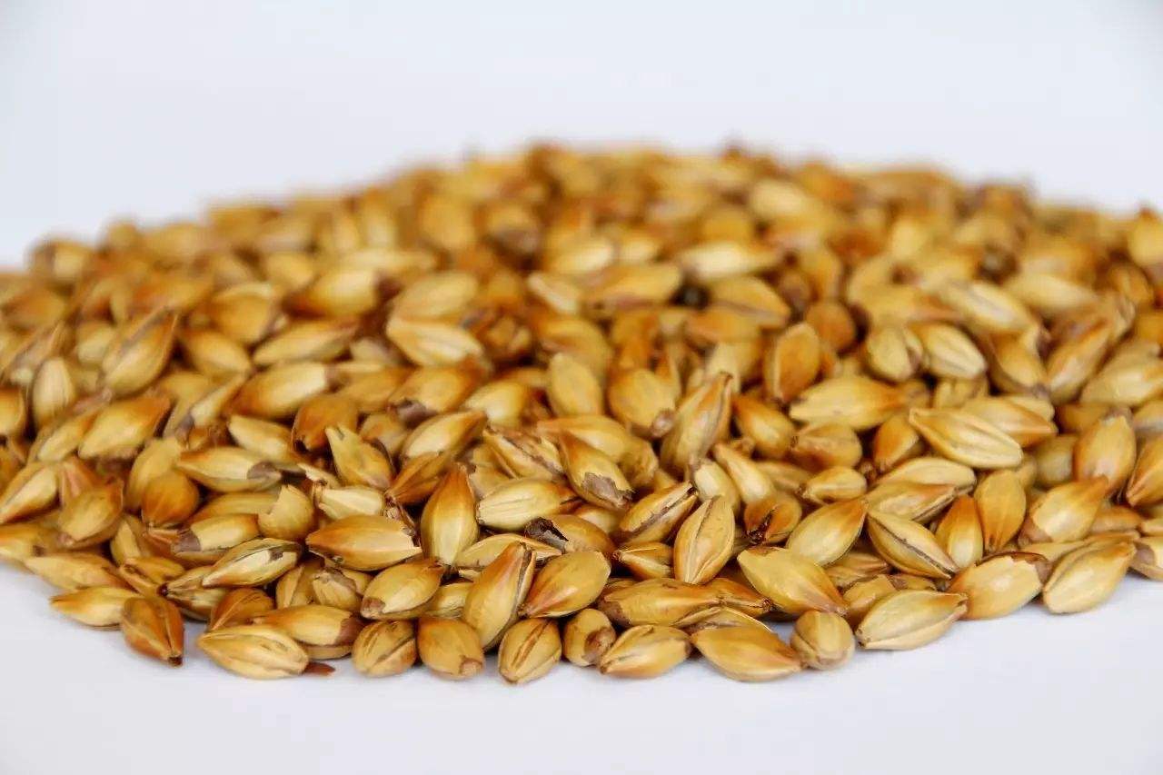 做精釀啤酒，如何選擇合適的粉碎機？