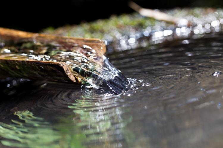 做精釀啤酒，如何處理釀造用水？