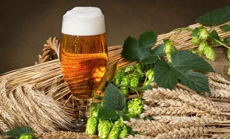 精釀啤酒中，如何選擇恰當(dāng)?shù)慕湻椒ǎ?> </a>
    </dt> 
    <dd> 
     <h4><a href=